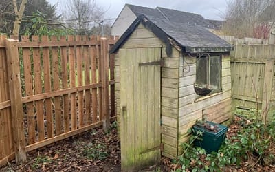 Shed Demolition: Reasons to Remove an Old Shed